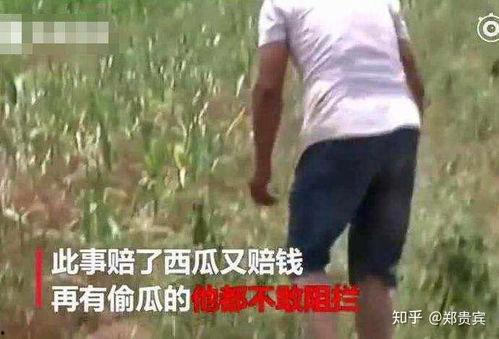 nyu吃瓜事件,校园风波背后的真相与反思