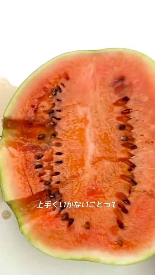 带你吃大瓜乌克兰,带你揭秘战火中的美食传奇