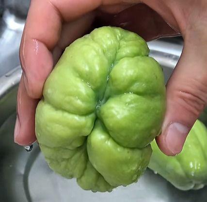 扶手瓜怎样做菜吃,家常烹饪新体验