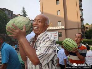 西安吃瓜现场,街头美食盛宴，民众共享欢乐时光