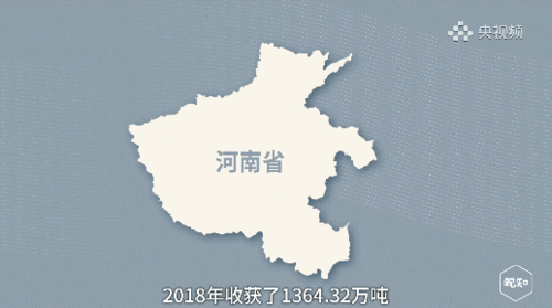 广东吃瓜最多的省份,广东人吃瓜技艺独步全国，瓜果盛宴引领潮流