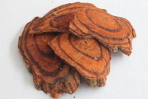 酷妮鸡血藤吃瓜,揭秘网红植物背后的吃瓜故事