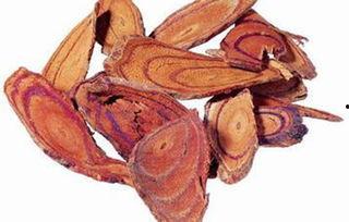 酷妮鸡血藤吃瓜,揭秘网红植物背后的吃瓜故事