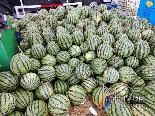 吃瓜咯宁波,揭秘这座城市的美食与趣事