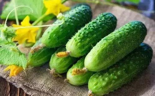 吃瓜看哈片,吃瓜看哈片，带你领略明星幕后故事