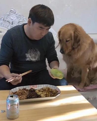 吃瓜主人和吃瓜狗一样吗,趣味对比，揭秘两者相似之处