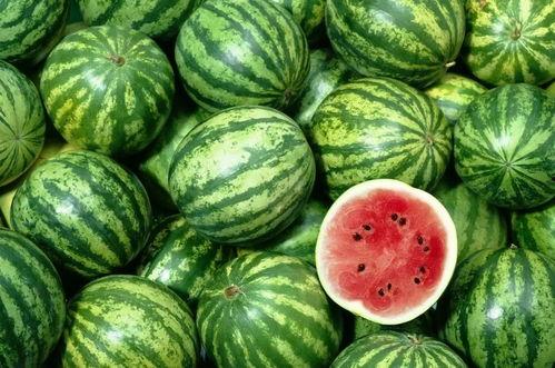 西瓜视频吃脆瓜,西瓜视频带你领略夏日清新口感