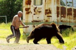 俄罗斯棕熊吃瓜,西瓜大餐