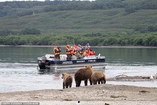 俄罗斯棕熊吃瓜,西瓜大餐