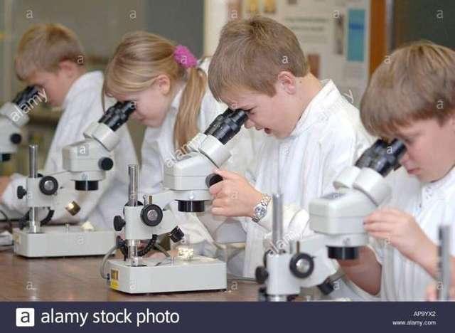 录音吃瓜,吃瓜群众的狂欢与真相