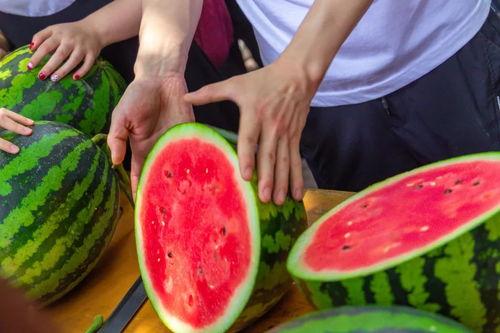 楼梯学校吃瓜,揭秘校园吃瓜背后的故事