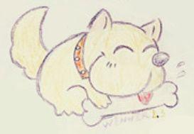 虎年吃瓜,品鉴瓜果，共享欢乐时光