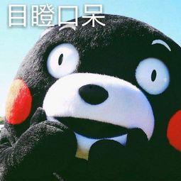 虎年吃瓜,品鉴瓜果，共享欢乐时光