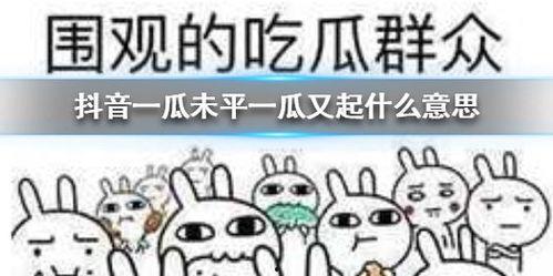 抖音最新吃瓜文案,最新吃瓜文案揭秘娱乐圈风云变幻