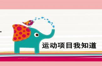 ppt吃瓜最好模板,PPT吃瓜最佳模板全解析