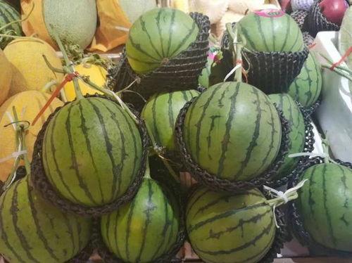 瓜大郎吃瓜,揭秘娱乐圈幕后真相