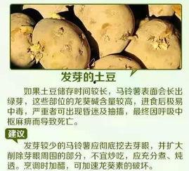 别太计较 吃瓜,吃瓜群众也能轻松看透娱乐圈风云