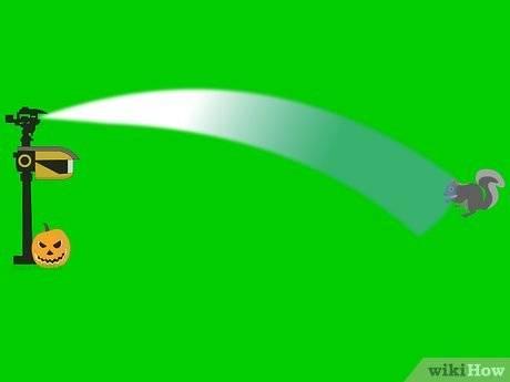 怎么防止松鼠吃瓜,巧防松鼠偷食瓜果的实用攻略