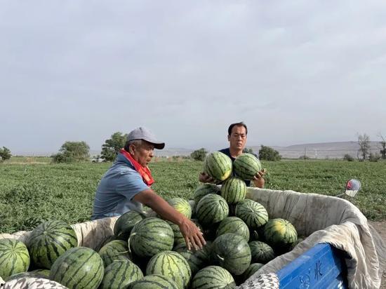梅岭吃瓜,揭秘娱乐圈背后的那些事儿