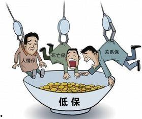 低保吃自己瓜,自食其力，瓜果飘香