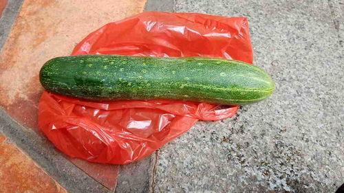 瓜啦可以吃吗,揭秘能否食用的真相