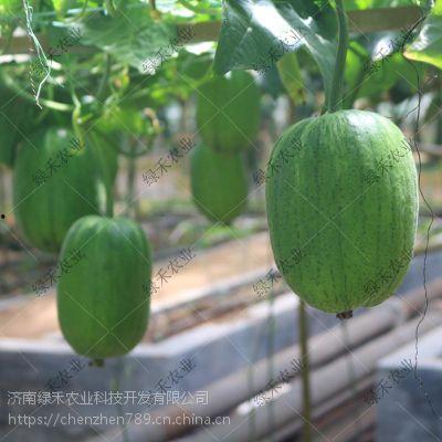 春秋航空吃瓜,揭秘航班上的那些“瓜”