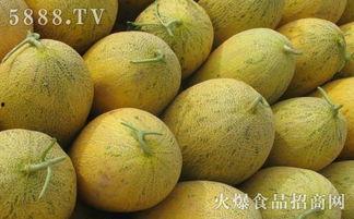 坐月子吃小蜜瓜,小蜜瓜助力产后恢复，营养美味两不误