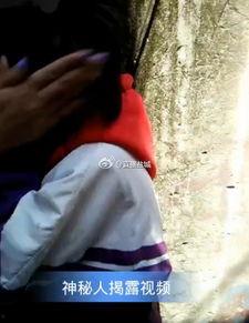 吃瓜女生视频,趣味横生的网络现象解析