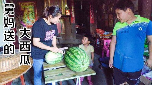 舅妈家吃瓜视频,揭秘家庭欢乐时光