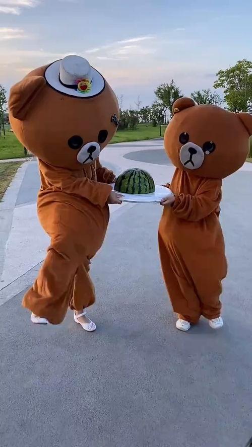 吃瓜小熊哑舍,一场穿越千年的奇幻之旅