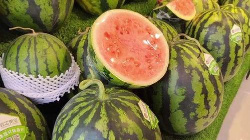 吃瓜科室,趣味横生的医疗故事集锦