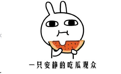 奢侈怎么幽默回复吃瓜,笑料横生！