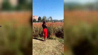 吃瓜神探图片,揭秘娱乐圈背后的秘密