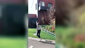 吃瓜神探图片,揭秘娱乐圈背后的秘密