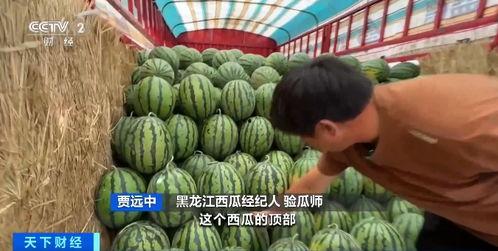 黑龙江吃瓜视频资源,揭秘当地特色美食与风土人情