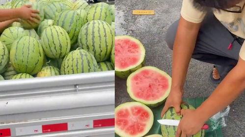 吃不熟的瓜好吗,品味成熟之美——探讨“吃不熟的瓜好吗”的饮食哲学