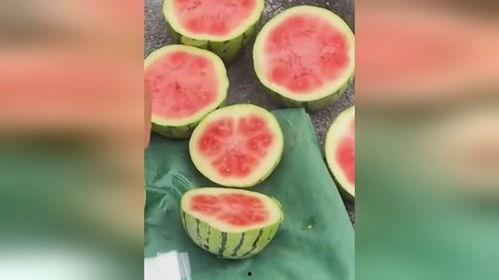 吃不熟的瓜好吗,品味成熟之美——探讨“吃不熟的瓜好吗”的饮食哲学