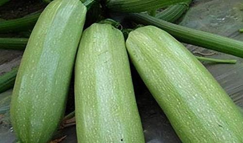 二辰au吃瓜,揭秘娱乐圈背后的那些事儿