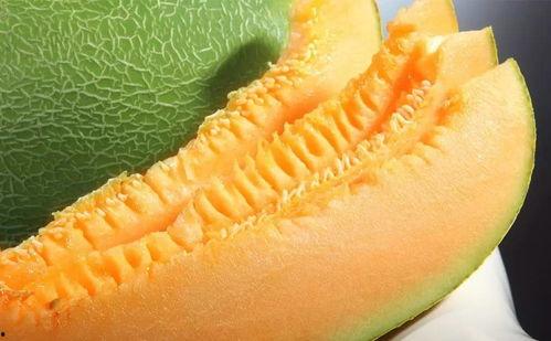 几月吃哈密瓜,哈密瓜飘香