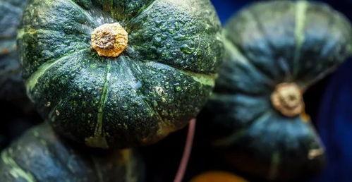 会吃的瓜,揭秘美食背后的故事与智慧