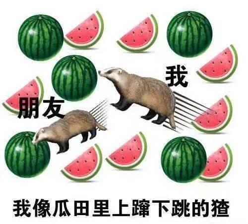 吃瓜为什么快乐