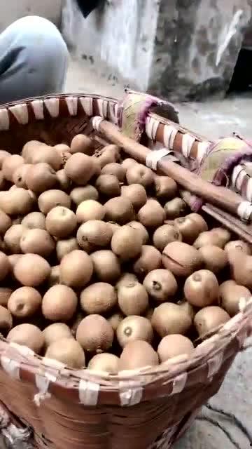 瓜哥带你吃瓜野生篇全集,揭秘娱乐圈幕后真相全记录