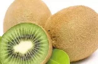 发热吃西周蜜瓜,西周蜜瓜助力夏日清凉解暑