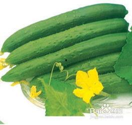 发热吃西周蜜瓜,西周蜜瓜助力夏日清凉解暑