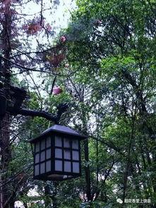 吃瓜亭 桃源深处,桃花源深处的隐世乐园