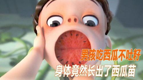 悲情吃瓜大结局,泪洒瓜田，真相揭晓