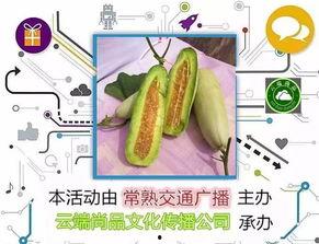 吃羊角蜜瓜的作文