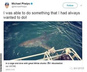 大白鲨吃瓜群众