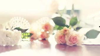 看花吃瓜诗句大全,经典诗句大盘点