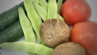 痛风可以吃籽瓜